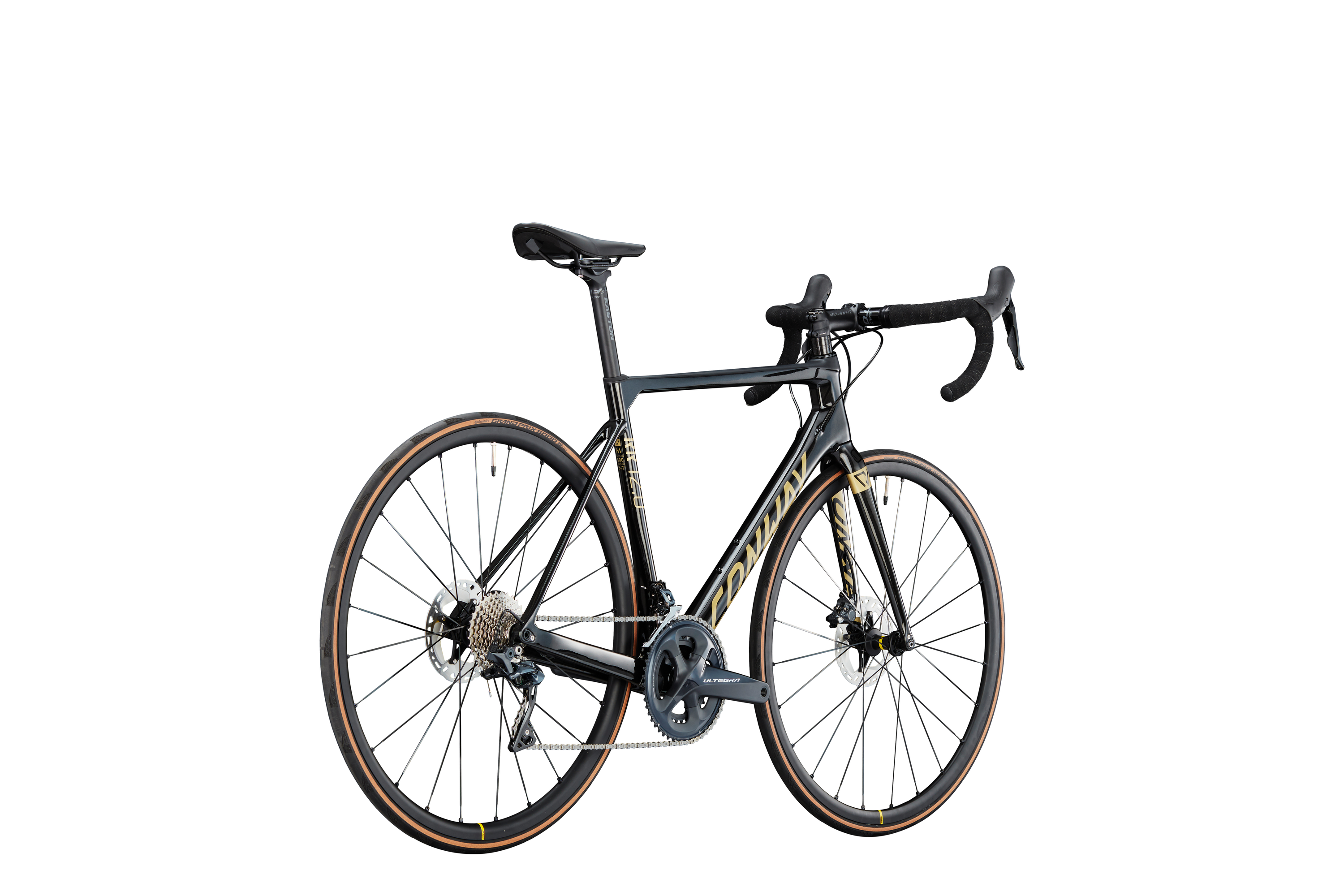 Conway RR 12.0 - black/gold 2024