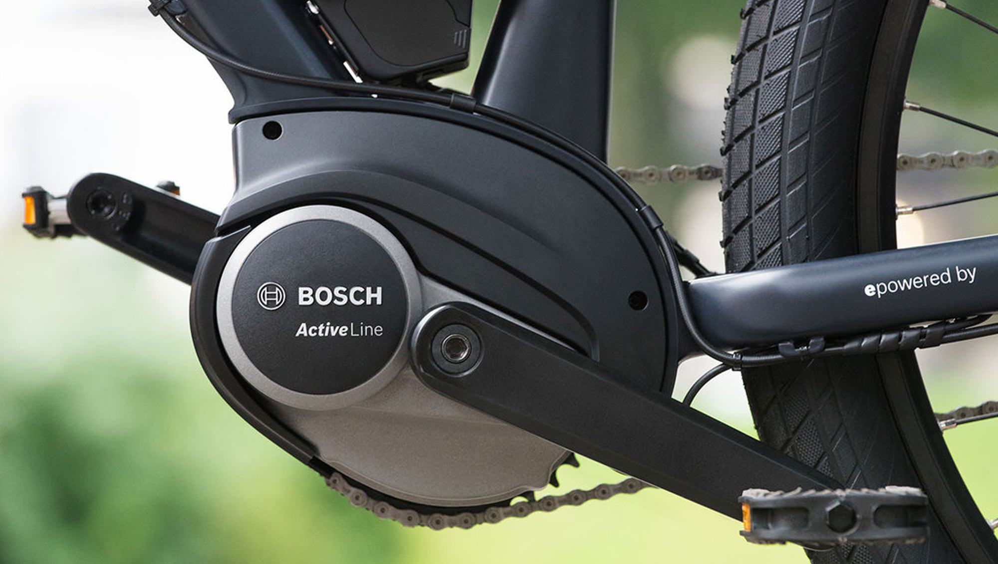 boschactive