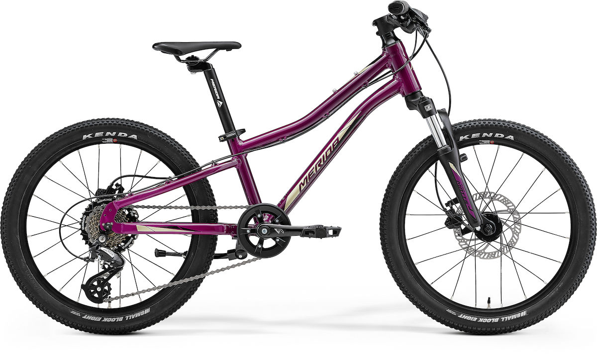 Merida Matts J.20 - purple 2025